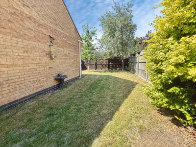 Picture 14